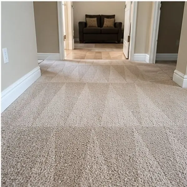 Carpet cleaning results in Braybrook VIC