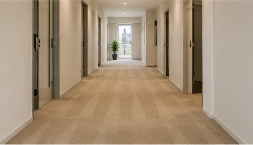 Carpet types cleaned in Braybrook